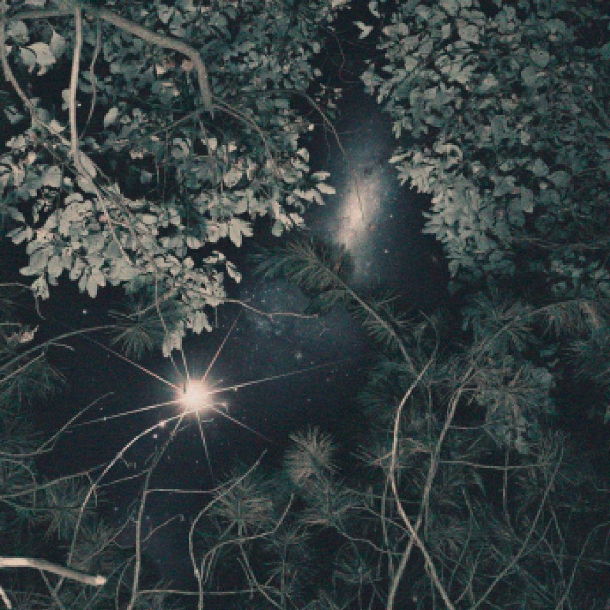 156/Silence Sign to Pure Noise & Release New Single - Hit Parader